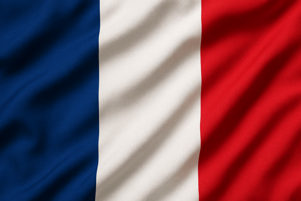 create a france flag
