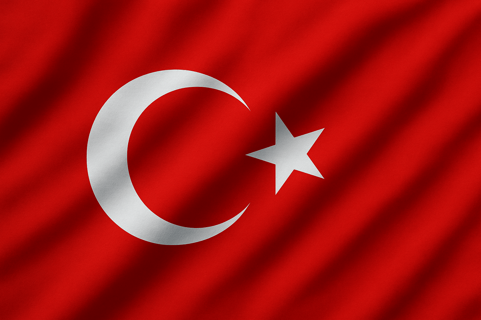 create a turkey flag